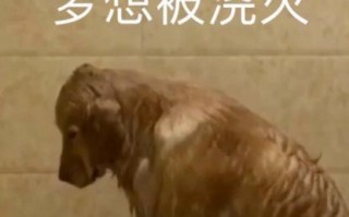年龄沙雕文案，年龄沙雕文案短句