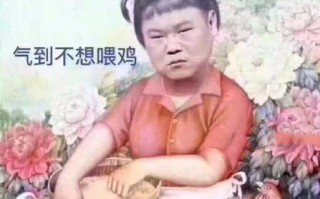 穿越文案沙雕，穿越文案沙雕句子