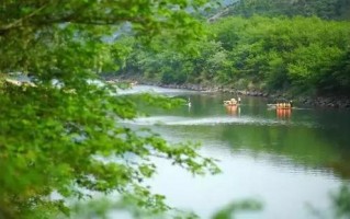 白诸杨梅水库游玩攻略，诸暨白杨梅