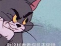 沙雕惊悚文案长句，沙雕惊悚文案长句摘抄