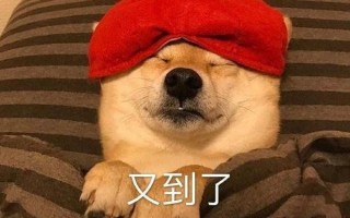 吃饱睡觉的沙雕日常文案，吃饱睡觉的幽默句子