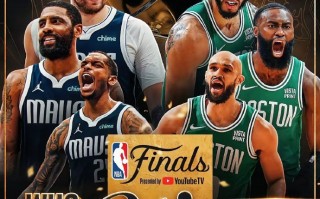 201314赛季nba总决赛，2013-14赛季nba总决赛
