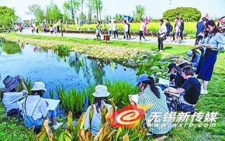 田园东方游玩攻略，田园东方游玩攻略大全