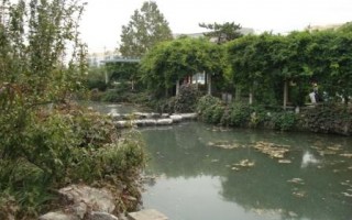 阿尔丁植物园游玩攻略，阿尔丁植物园游玩攻略大全